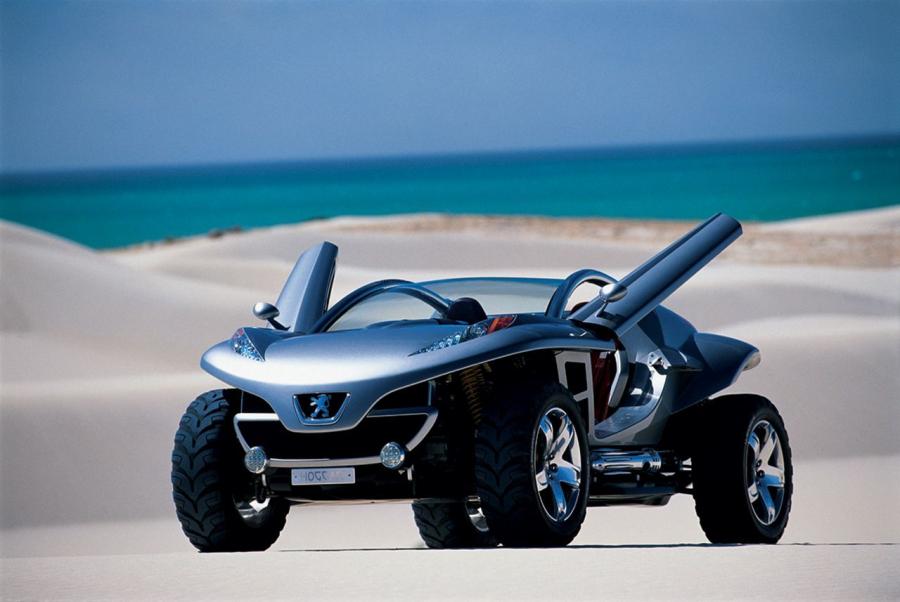  Peugeot Hoggar 2003 года  (фото 1 из 10)